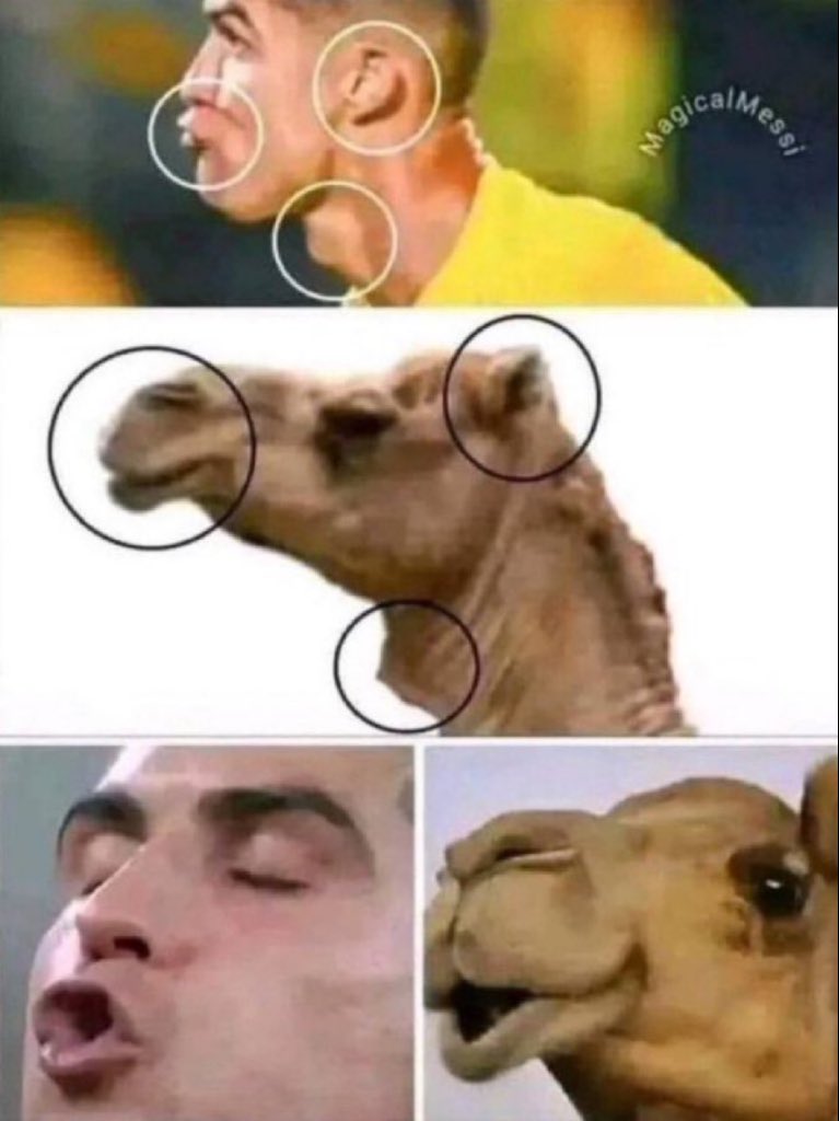 خالد tweet media