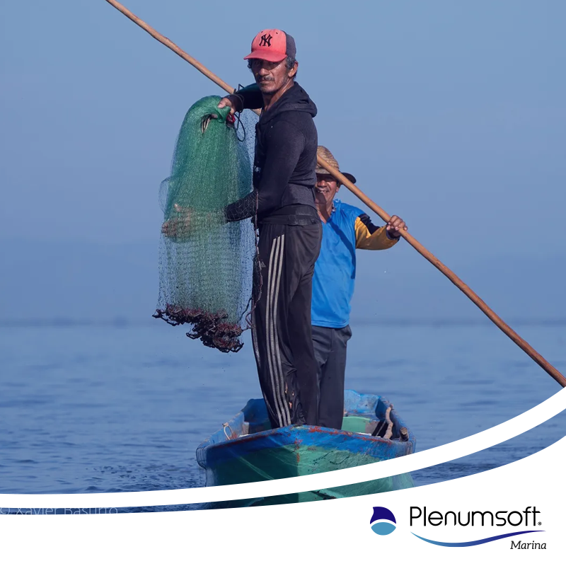 Plenumsoft Marina tweet media