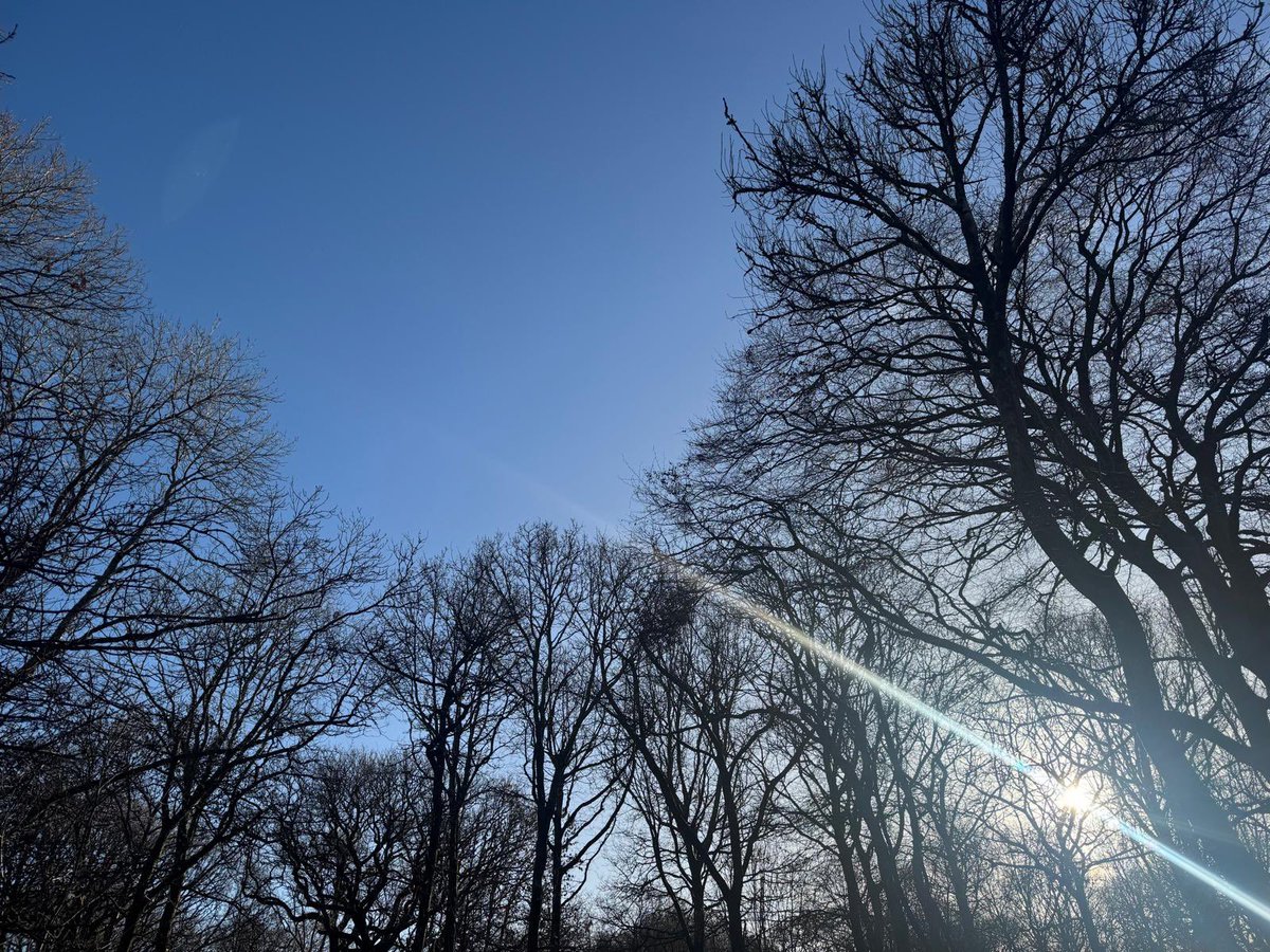 Mark Bramwell tweet media