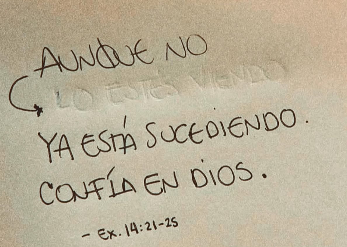 escritosnacion's tweet image. 