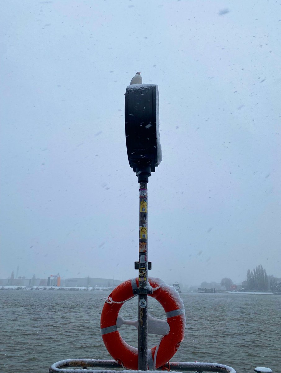 •Kintsugi• tweet media