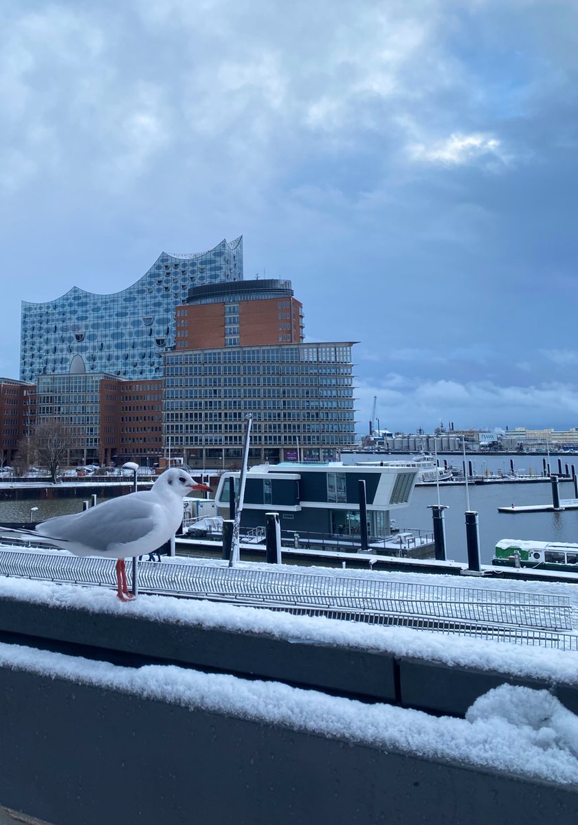 •Kintsugi• tweet media