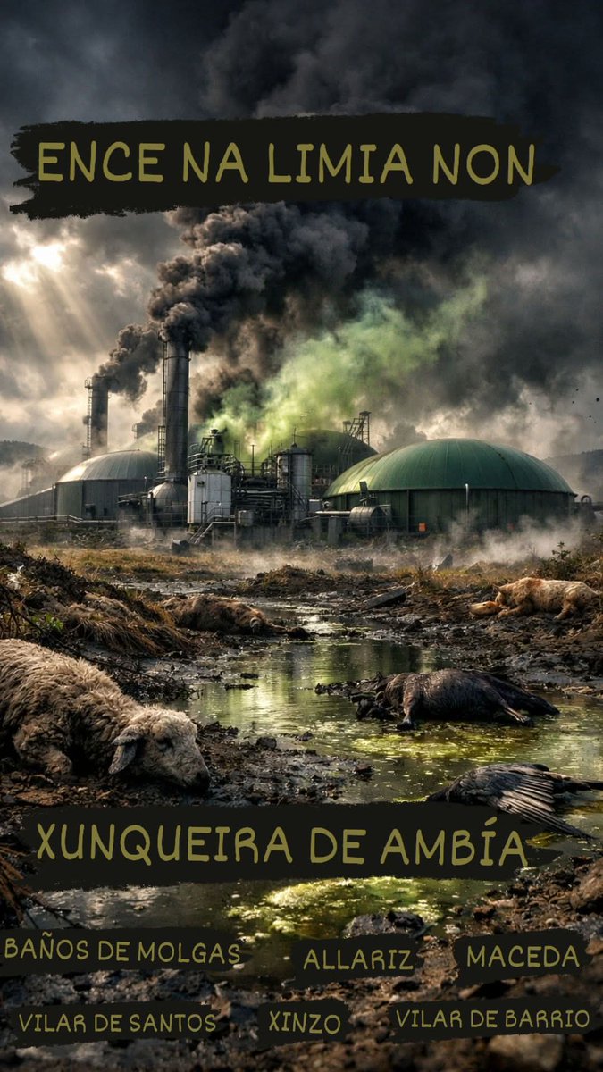 ⚠️ Macroplanta de biogás = desastre ambiental.
💧 Augas, terra e comunidade en risco.
✊ Di NON! #XunqueiraDeAmbía #NonBiogás