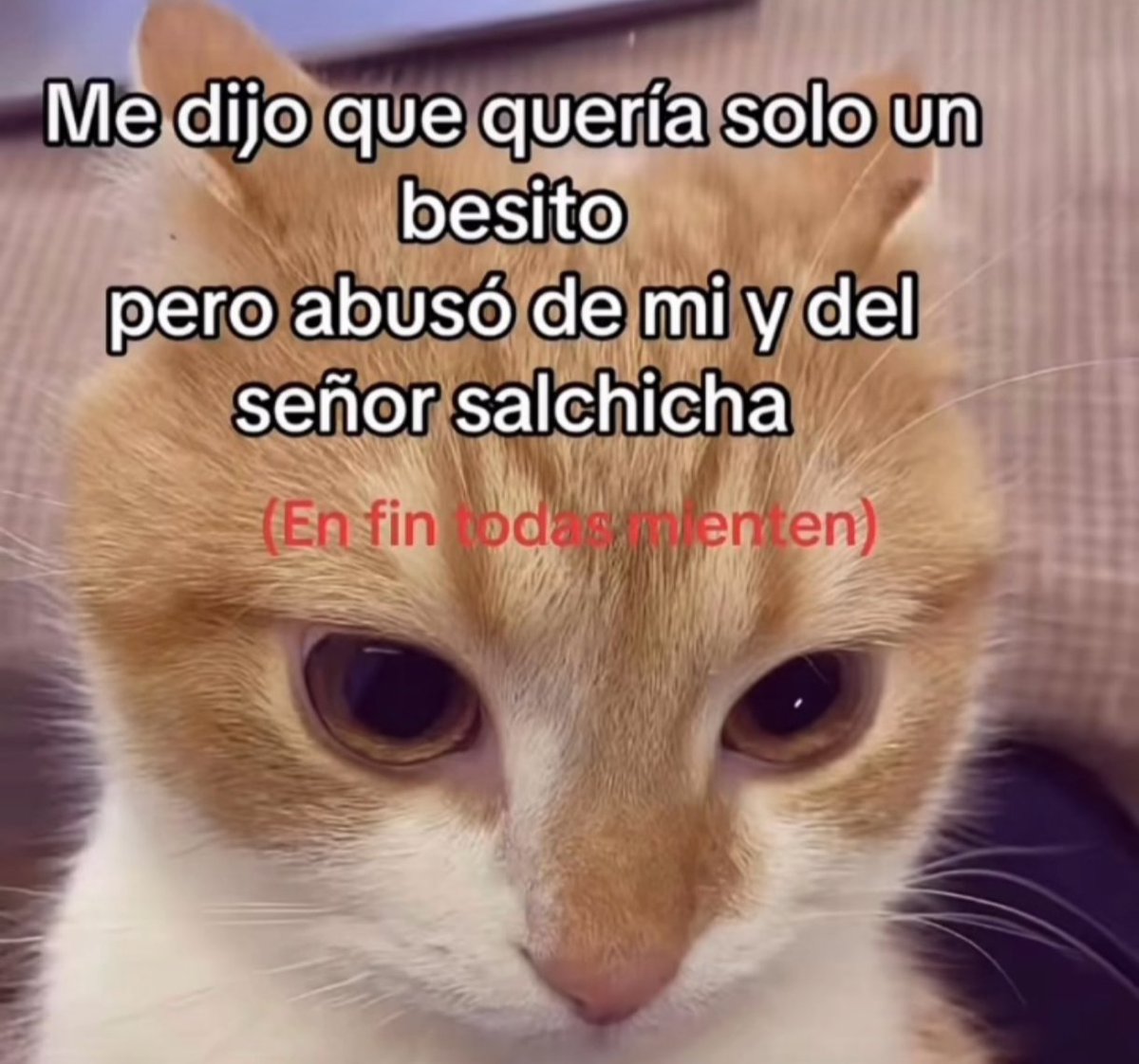 Alastor con boy pussy claro q si. 10 likes y los dibujo fornicando con  Alastor pussy como dios manda #radioapple #appleradio #HazbinHotel #Alastor, image size:1200x1122