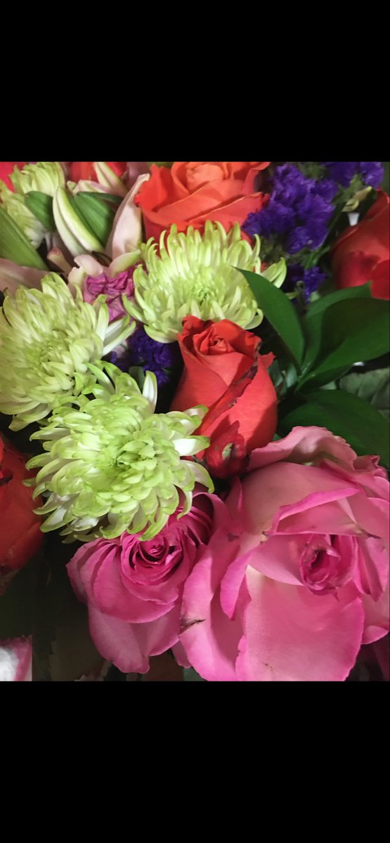 temptressteagan's tweet photo. Flowers? How insulting. Send 400 now so I can divorce this useless pig.  #findom #paypig #paypiggy #femdom #temptressteagan #tributenow https://t.co/N8VBf54q4x