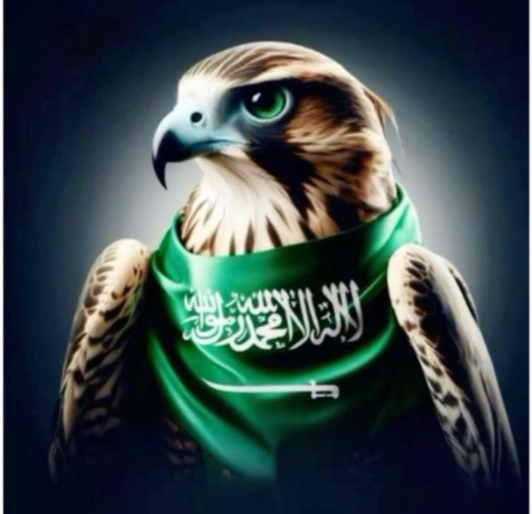 suliman_alsalem's tweet image. الصقور تحوم السماء لحماية الوطن .