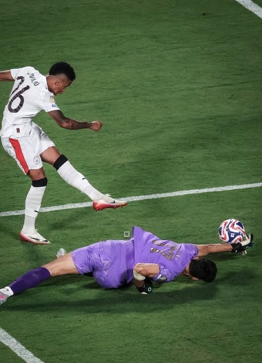 THISISNOTKNT's tweet image. is this account fucking ran by savinho?