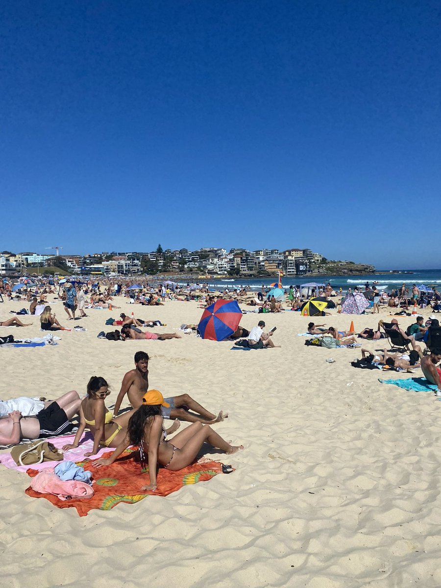 Enogie || tweet media