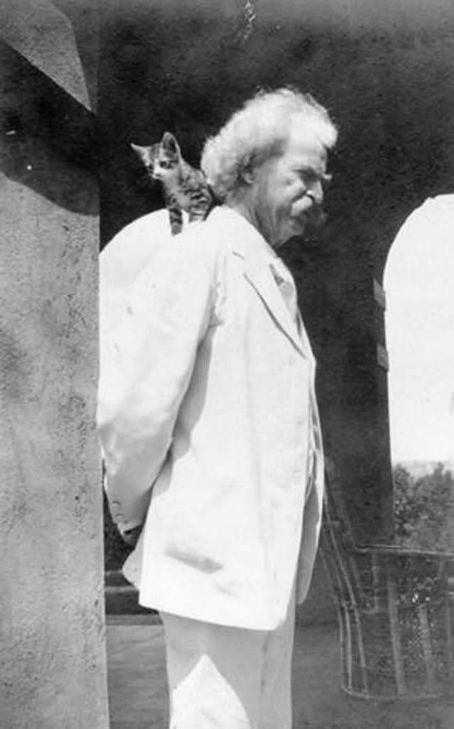 Mark Twain had 19 cats—and when one went missing, he wrote a newspaper ad so poetic it could make you cry.
The man who gave us Tom Sawyer, Huckleberry Finn, and some of the sharpest wit in American literature had another passion: cats.
Not just one or two. At various points in