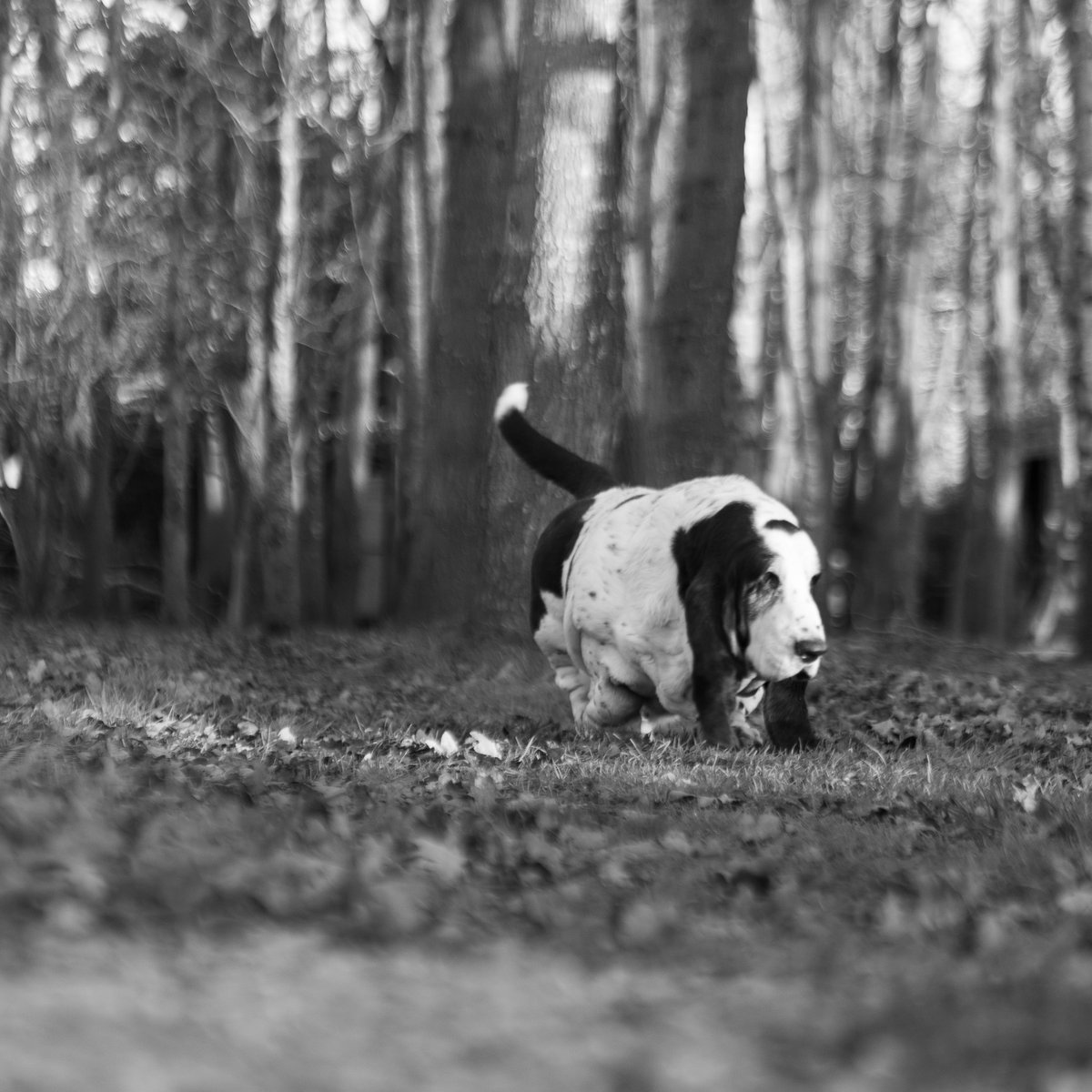 Phil Sledge tweet media