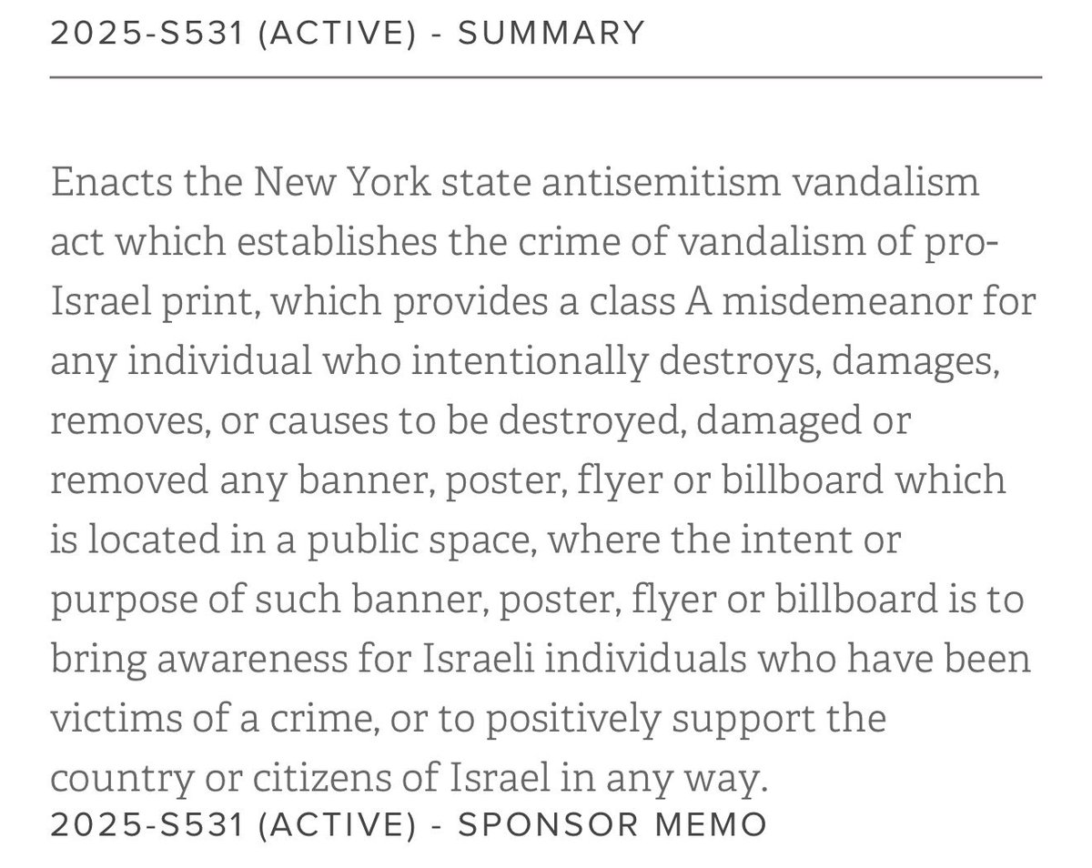 Villgecrazylady's tweet photo. I honestly thought this was an exaggeration… it’s not. 

Republicans in New York are literally trying to pass a new law to protect “pro-Israel print.” https://t.co/5ITai9UhlK