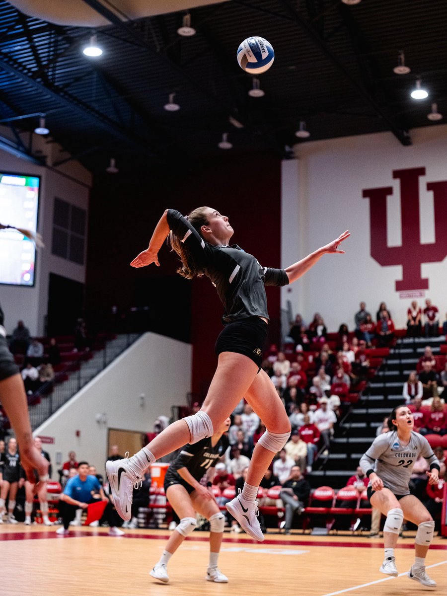 Colorado Buffaloes Volleyball tweet media