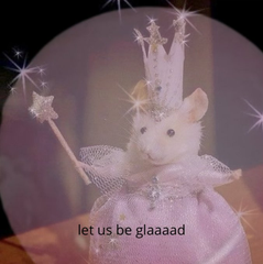 e. 🍉 | lesbian glinda truther tweet media