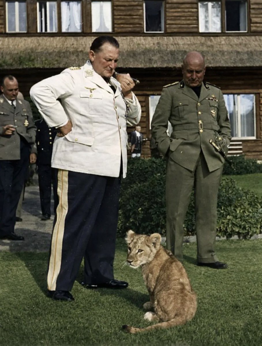 Segunda Guerra Mundial en español tweet media