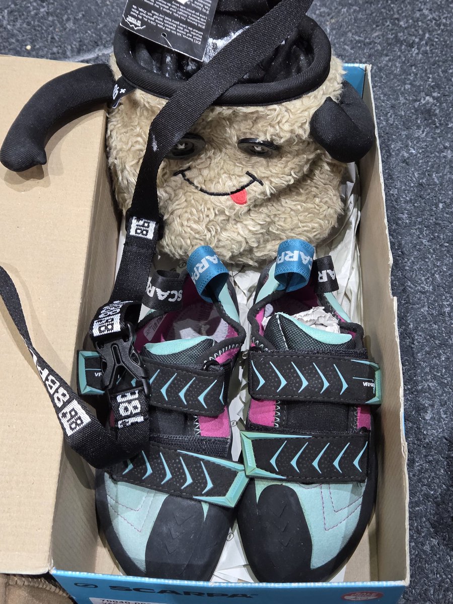 New 입양... 신발 150파운드(약30마넌) -> 60파운드(약 12만원)로 할인받아서 삼