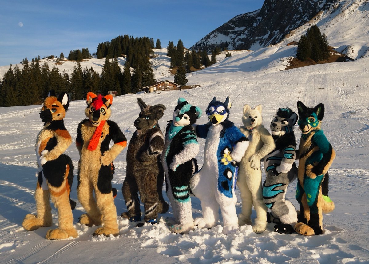 Naitas_Fang's tweet image. It's the first #FursuitFriday of 2026 🏔❄️
From Switzerland with love!

Left to right:
@Himaru_Shepherd ; Reko_Wolf ; me 😉 ; @swisshusky ; Fwewyu ; @Manchu_Wolf ; @TigWiesel ; @MichaelFolf
