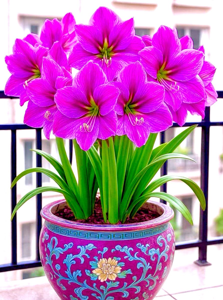 Buenas tardes amigos-as , les deseo felices y prósperos días en este año 2026 . Bendiciones 👋🙏