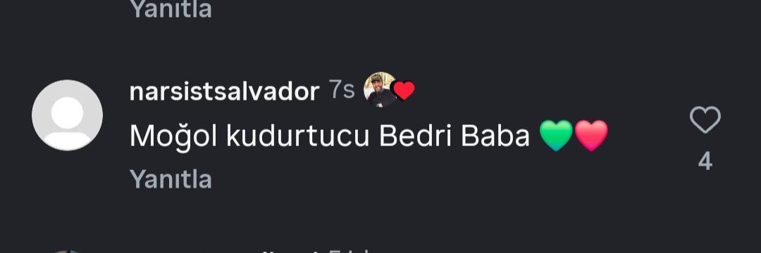 Son günlerde gündem olan Bedri Usta isimli şahsın sosyal medyada Türklere hakaret içerikli yorumları beğendiği görüldü.