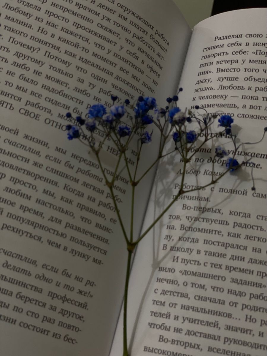 wildesxile's tweet image. 𓂃livros lidos em 2026 𓂃    

“So long as there are still books on the shelves, you are never trapped. Every book is a potential escape.”