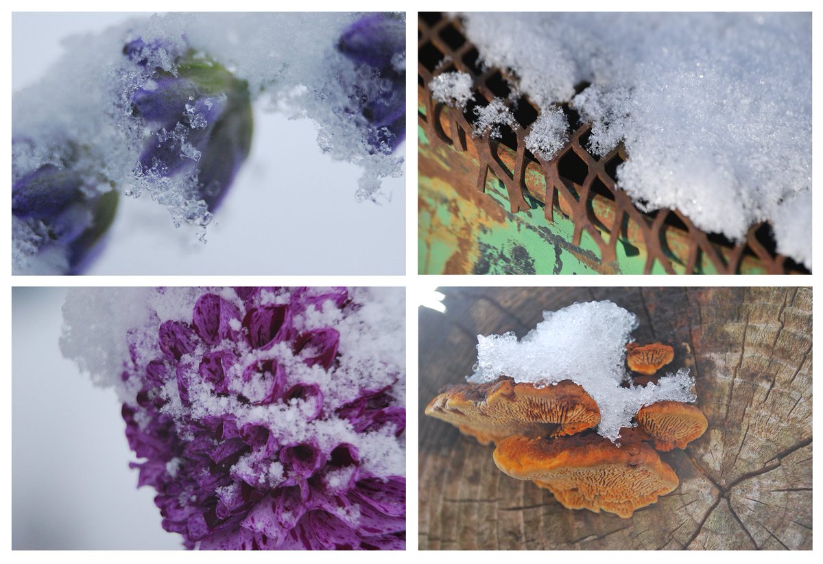 I really love how this series came together and am grateful to my collectors!

Two pieces with editions available linked below 💖✨️