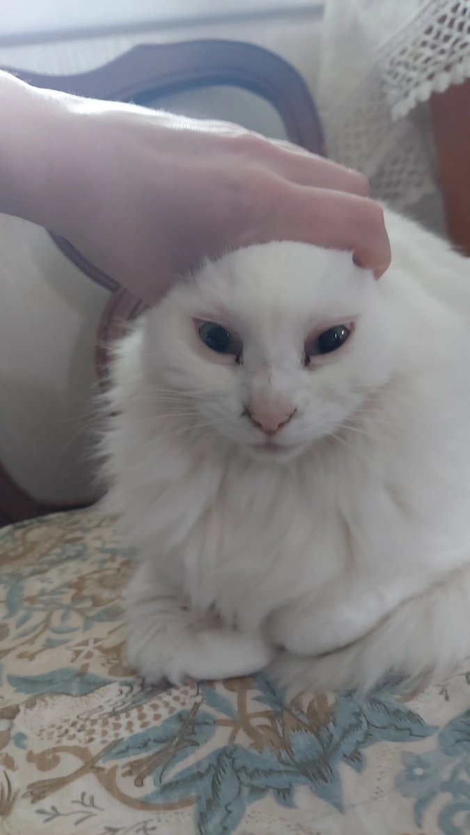 Babette 💟 tweet media