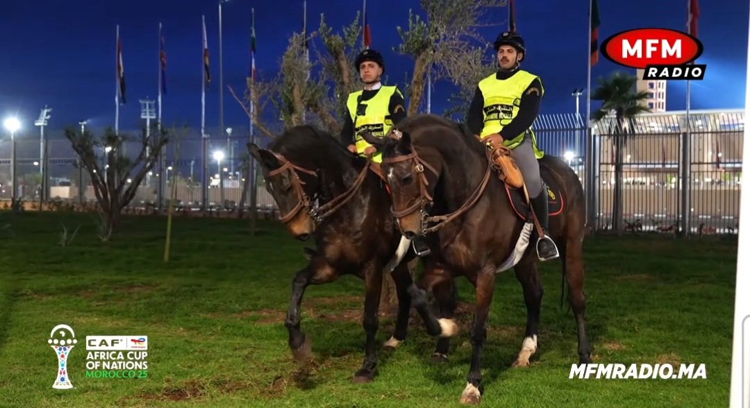 #Morocco #Maroc Alongside other security services, the Royal Moroccan #Gendarmerie 🇲🇦 an important #Security and #Military Corps in our country, is actively engaged through all its specialized units in securing the major events that our country hosts, notably #AFCON2025. 

#Horse