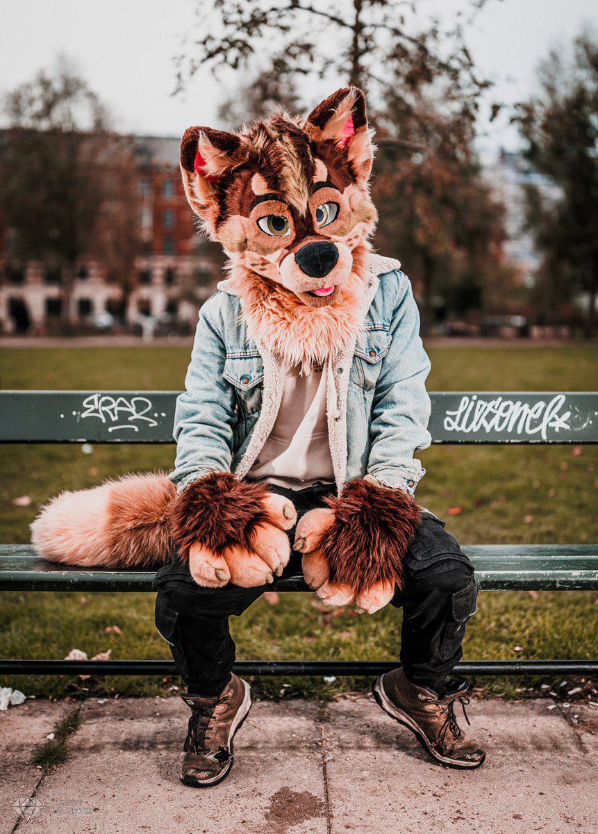 Kip 🔜NFC tweet media