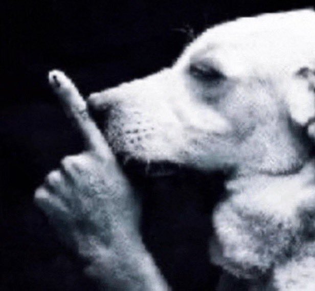 athanatophobia's tweet image. nick fuentes needs to realize going back to the catboy era and making an onlyfans would make him way more