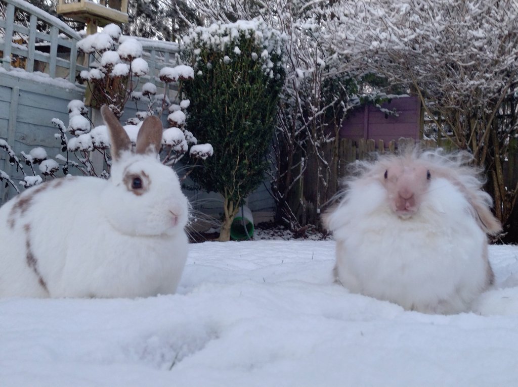 Gerald: Bolu, what's this stuff on the floor, I don't remember it being here yesterday?