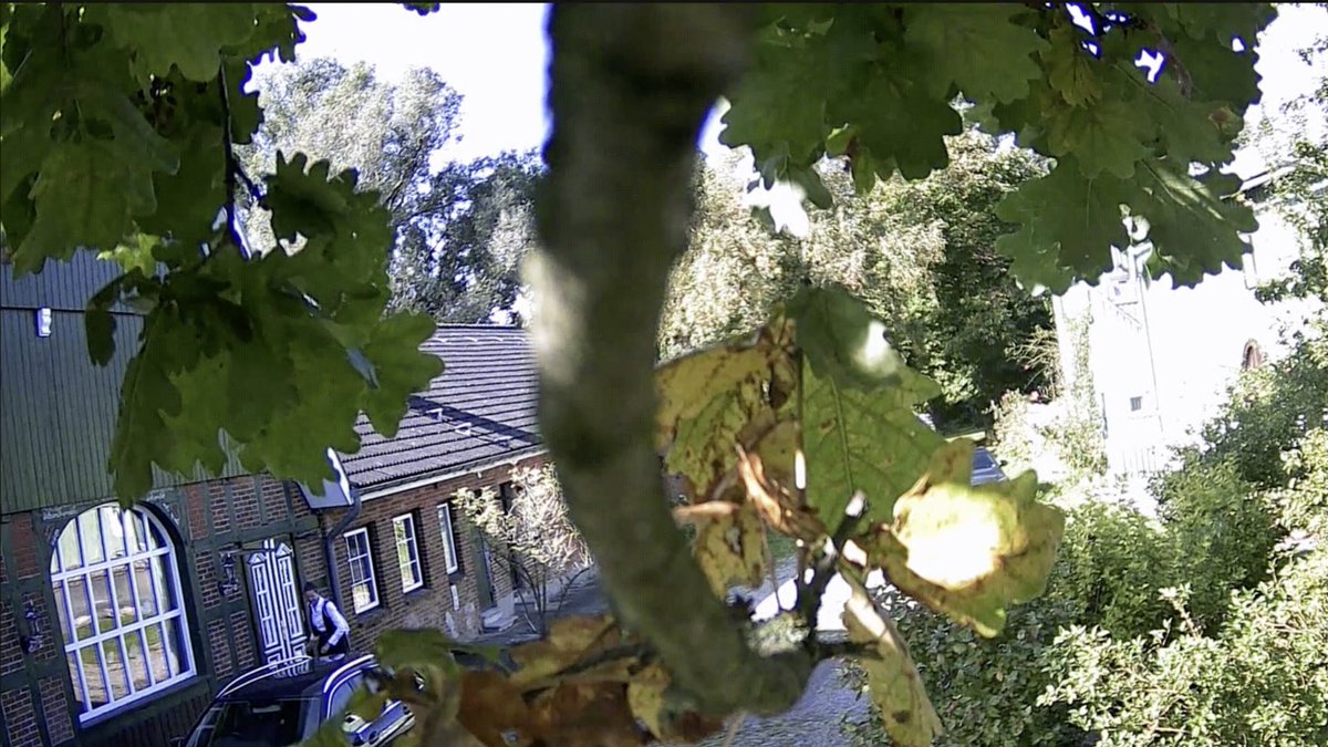 ‼️A German hacker known as "Martha Root" dressed as a pink Power Ranger and deleted a white supremac...