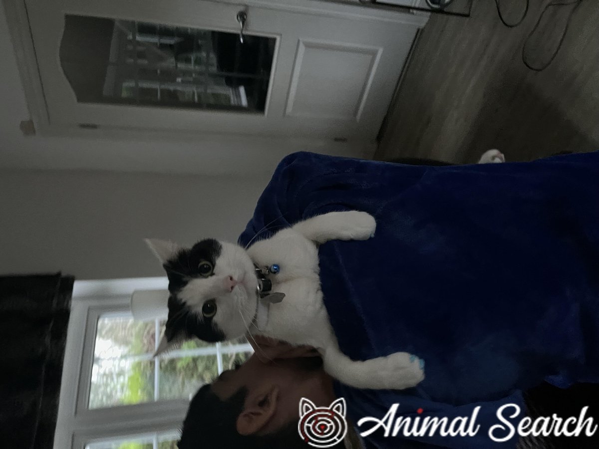 Paw Prints Left tweet media