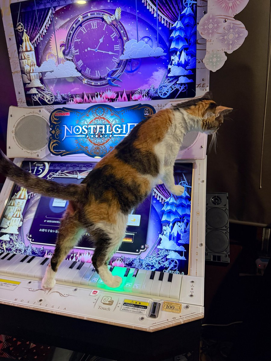 ゲームセンターベティ tweet media