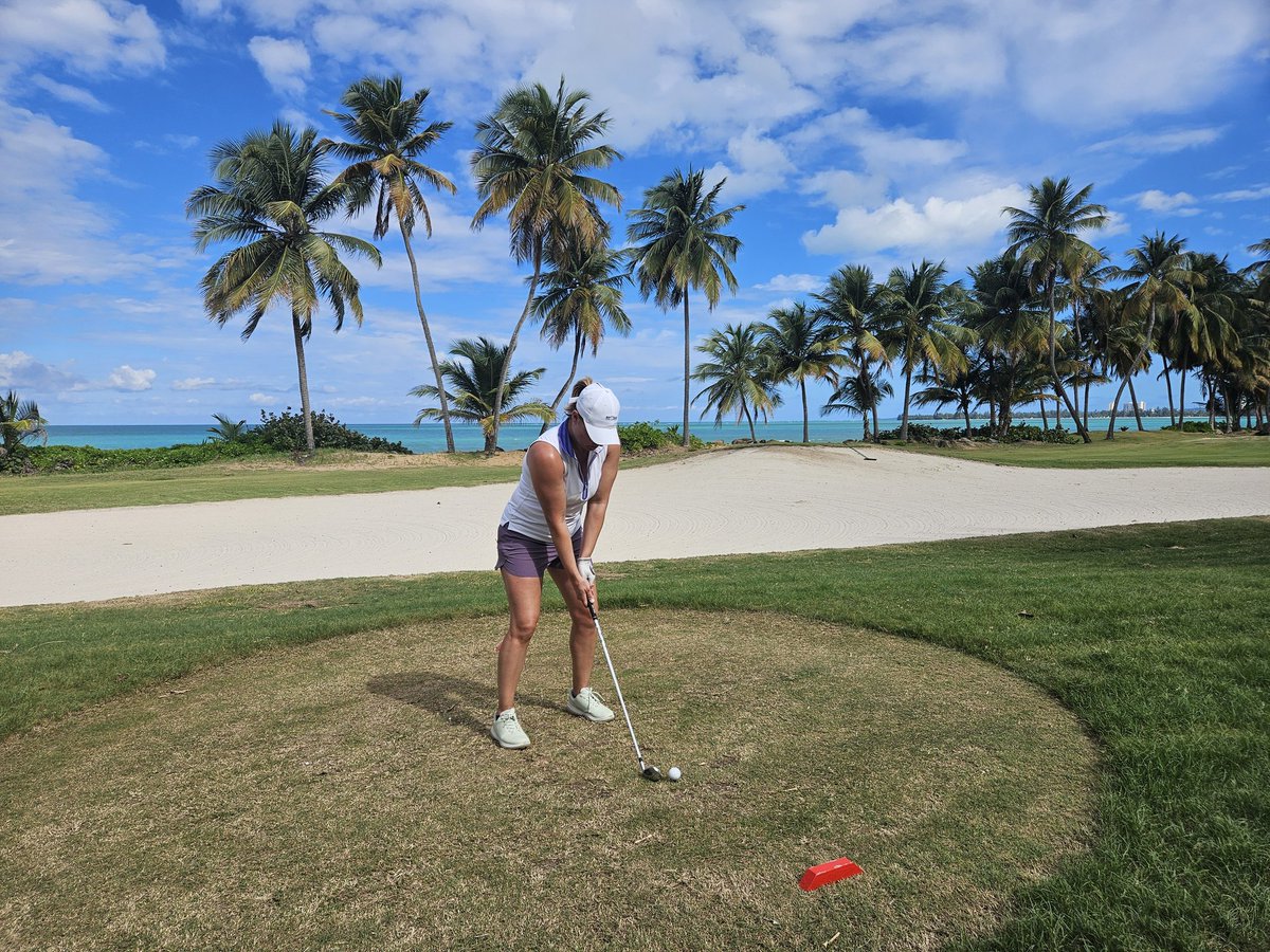 Shane Relihan tweet media