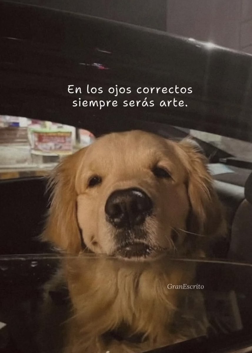 vibes (@vibesfyp) on Twitter photo 