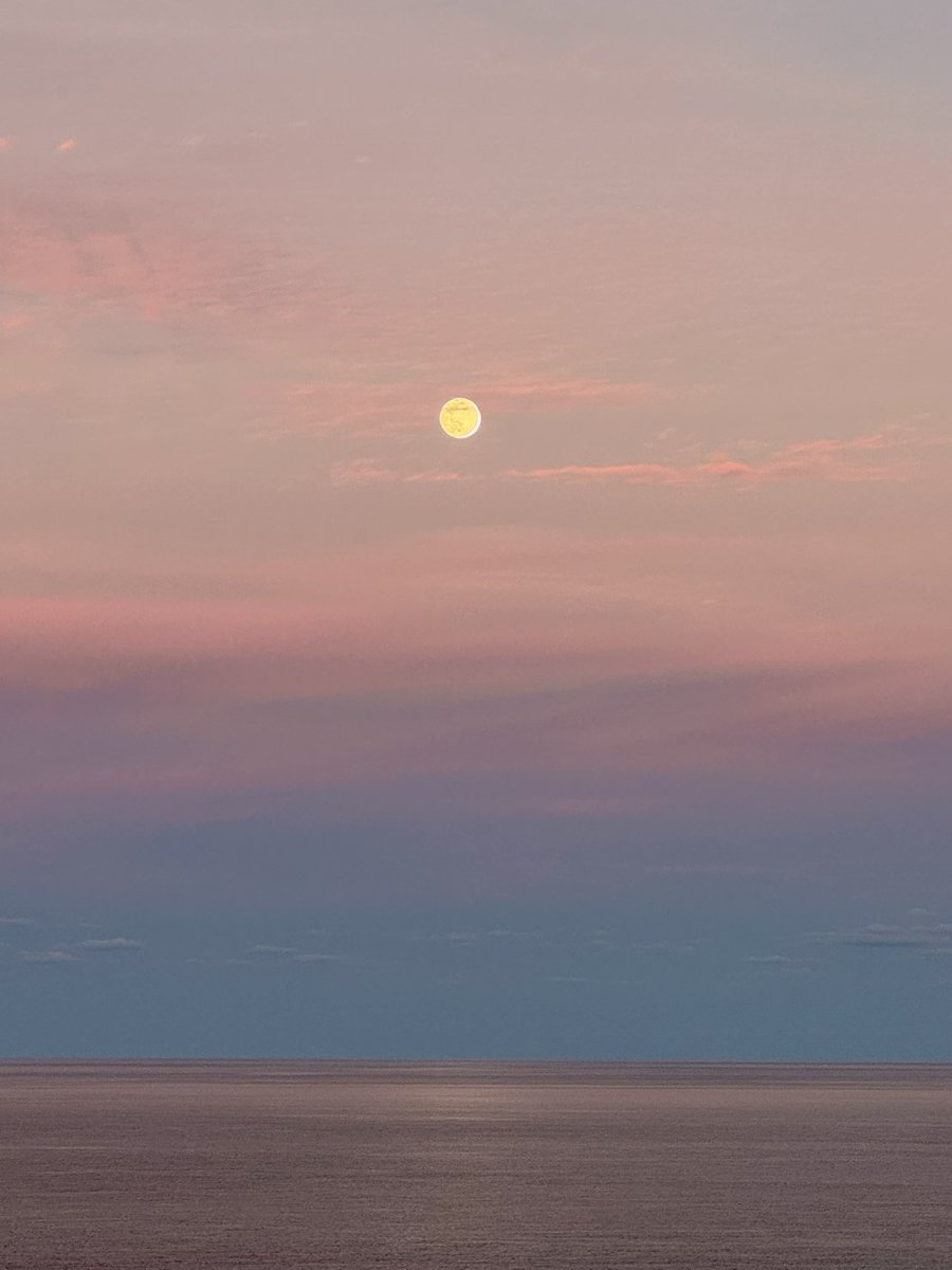 atomicritter's tweet image. we did a cruise! first time. unlimited free and very tasty food always available is dangerous af. and i can’t believe something so big and luxurious can float on water lol.

maybe not my preferred way to vacay (lotta sitting down and not doing much) but cool experience still!