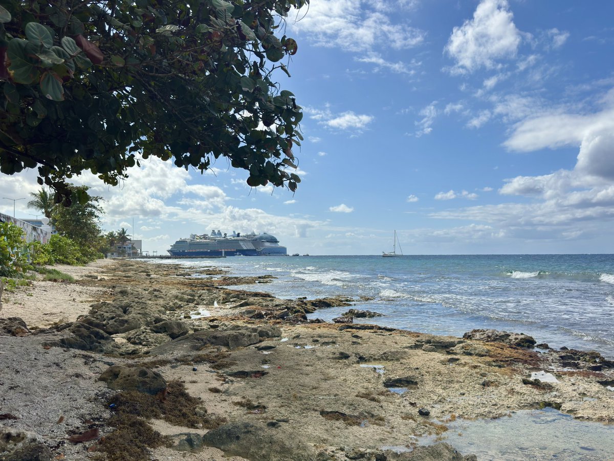 atomicritter's tweet image. we did a cruise! first time. unlimited free and very tasty food always available is dangerous af. and i can’t believe something so big and luxurious can float on water lol.

maybe not my preferred way to vacay (lotta sitting down and not doing much) but cool experience still!