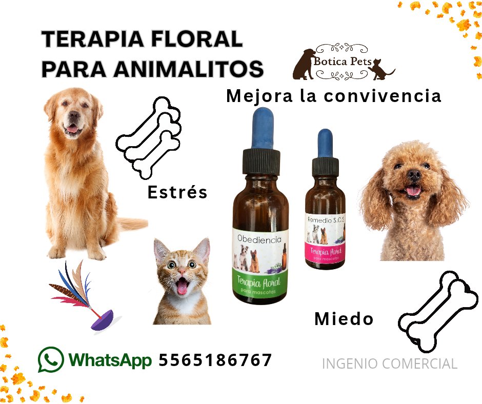 BoticaPets's tweet image. 