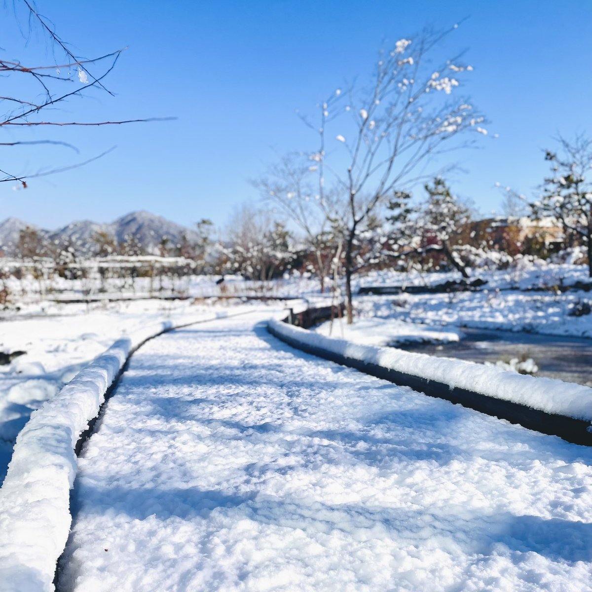 SimoseMuseum's tweet image. 本日も当館は開館しております

ミュージアムカフェは臨時休業となります
あらかじめご了承くださいますようお願いいたします