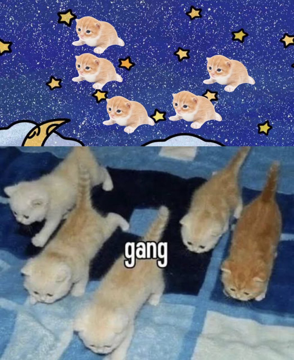 higary__'s tweet image. 