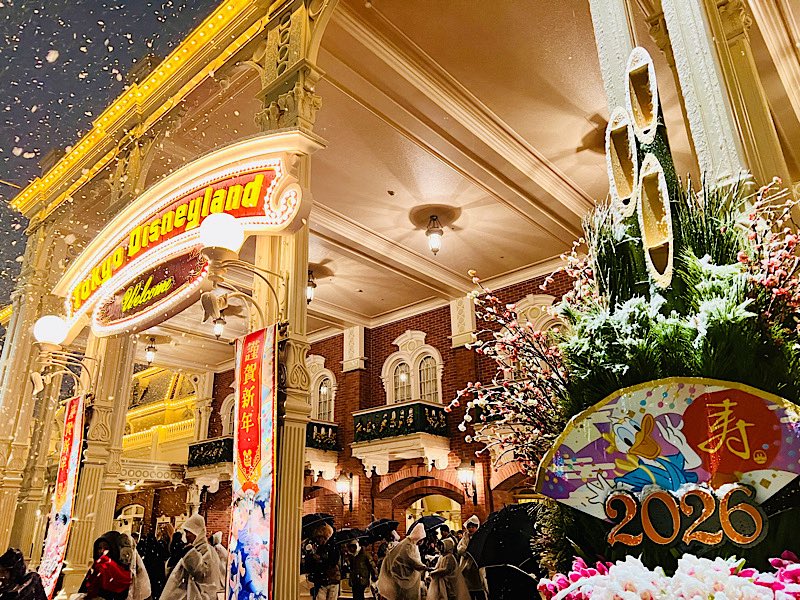 2026年になり、早速ディズニーランドに行ってきました🏰 年明けで大