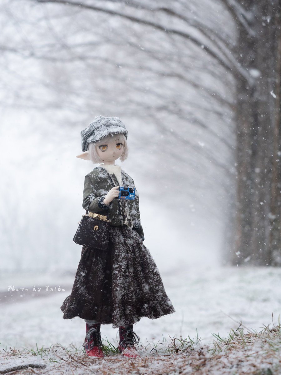 ちょっと、寒いんですけど・・