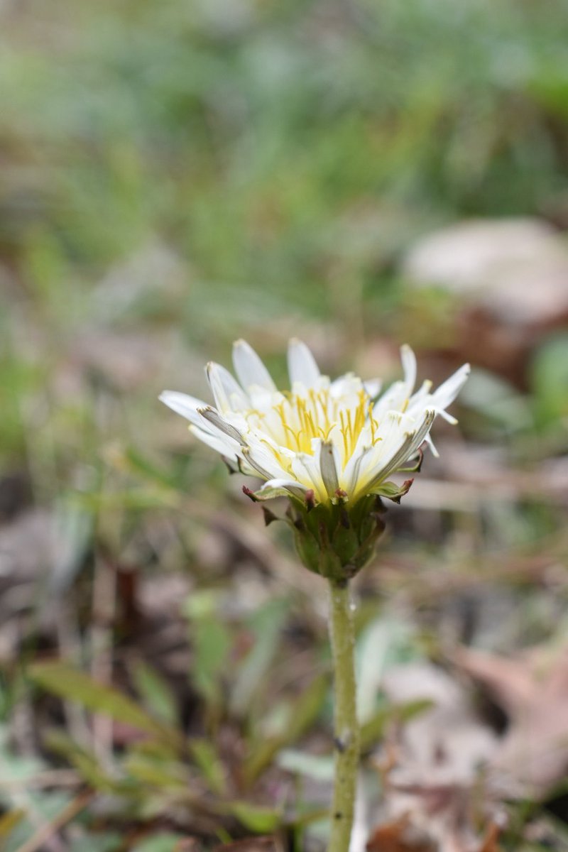 MasA naTureeee tweet media