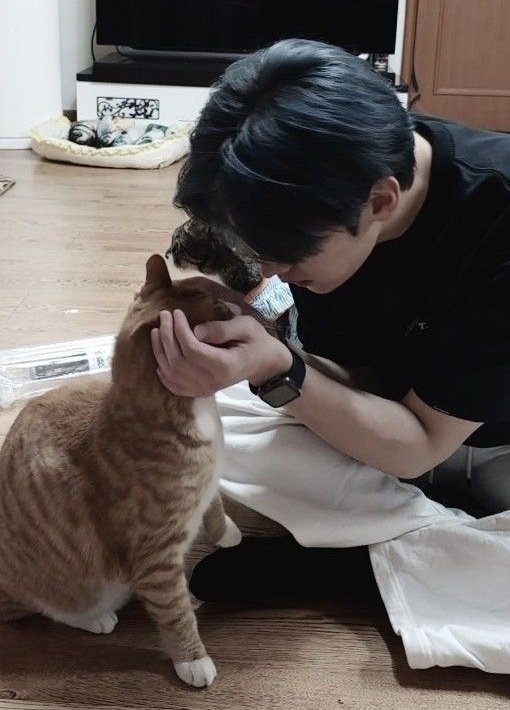 dinorssam's tweet photo. minsung au | ainda estou aqui

Após se tornarem amigos próximos, Han se isola em uma depressão profunda por conta da morte de seus avós.
Sem desistir, Minho passa a esperar todos os dias do lado de fora da janela de seu quarto, acreditando que Han ainda poderia abrir. https://t.co/nnCniX0zVU