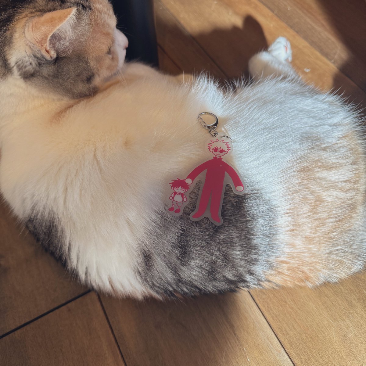 ぐれ (@gurerere524) on Twitter photo 