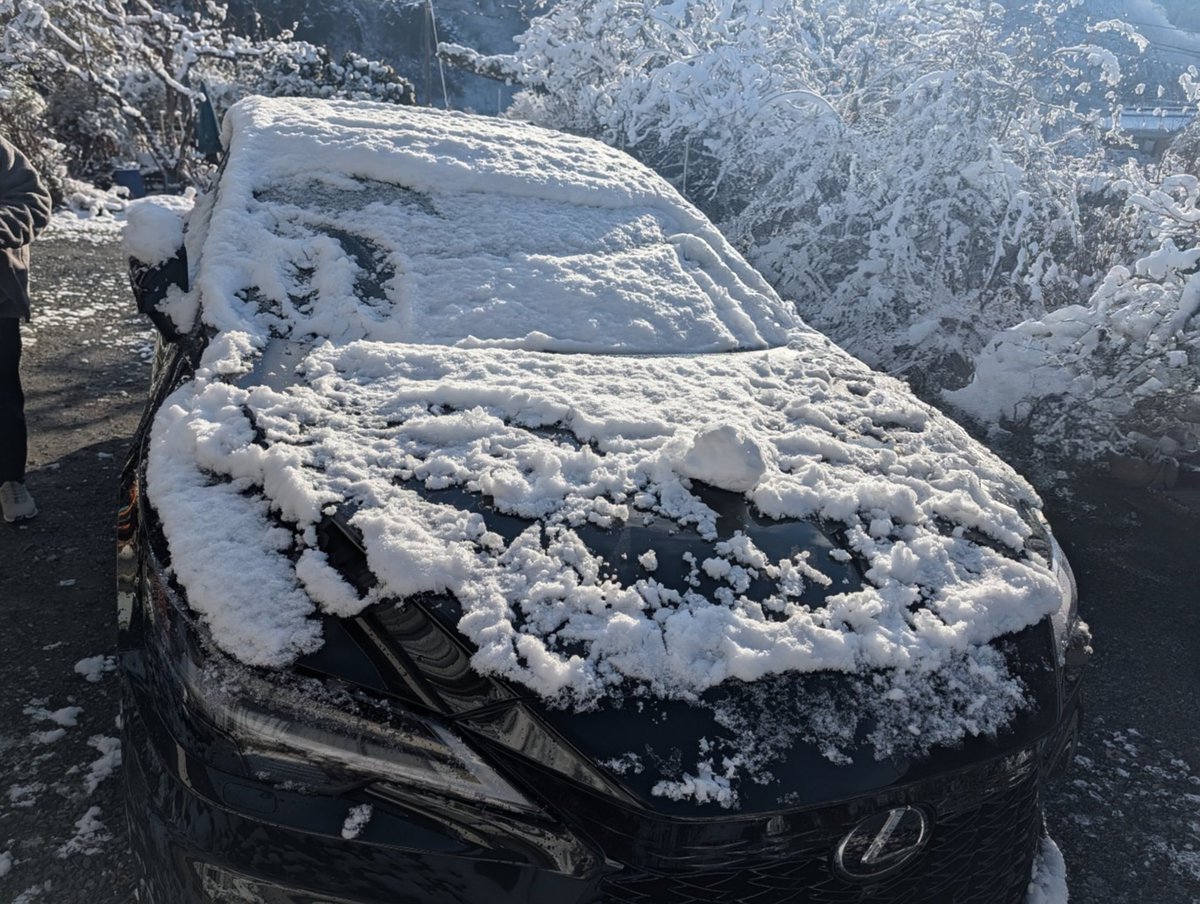 Schnauzer_John's tweet photo. 実家にてRXのボンネットで雪だるまを作る平和な年始です。姪、甥はとてもかわいい。 https://t.co/SwHgWPuiVL