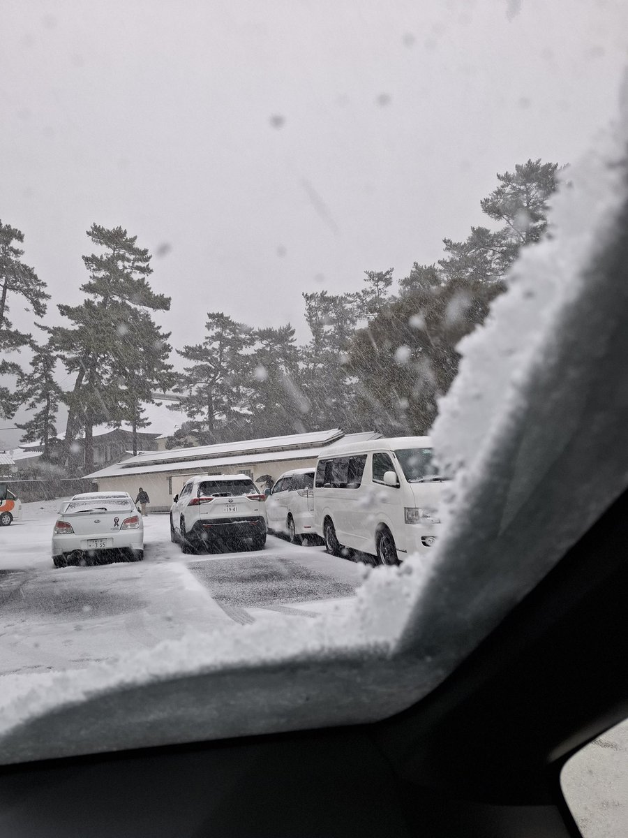 9999maruko's tweet photo. ⛄大雪 島根県の出雲大社へ行ってきました

#島根県
#出雲大社
#大雪 https://t.co/fiYycoqDnx