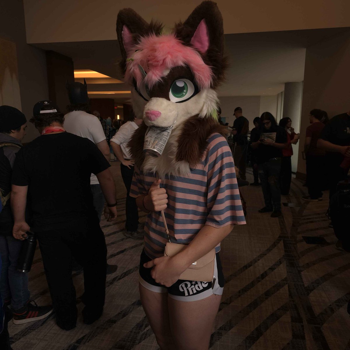 miaconfirmed's tweet photo. Day one :3 
#pdfc https://t.co/7aEUMvMzL9