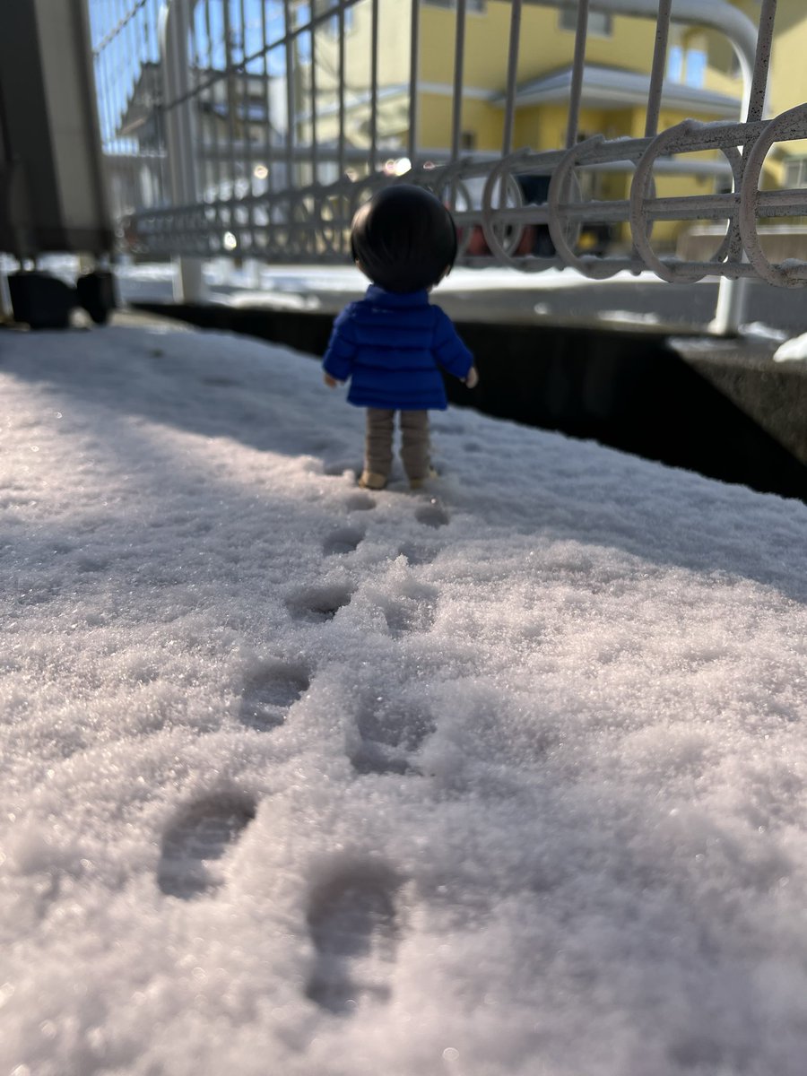 445cafeparade's tweet photo. 雪⛄️積もってた( ◜ᴗ◝) https://t.co/b5RbGedvsE