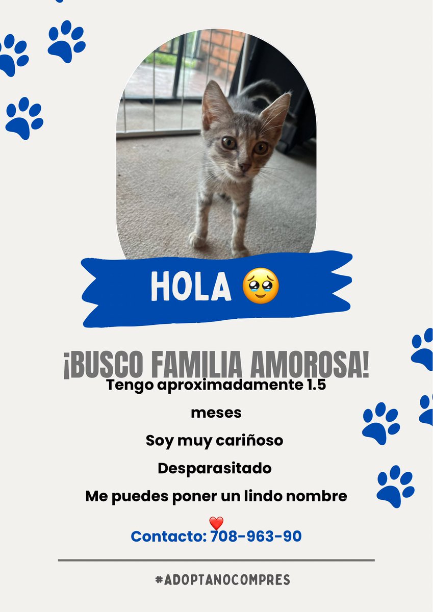 Hola amixers, me pueden ayudar compartiendo?

Es muy lindo, pero desafortunadamente no podemos tener otro gatito en casa 💔