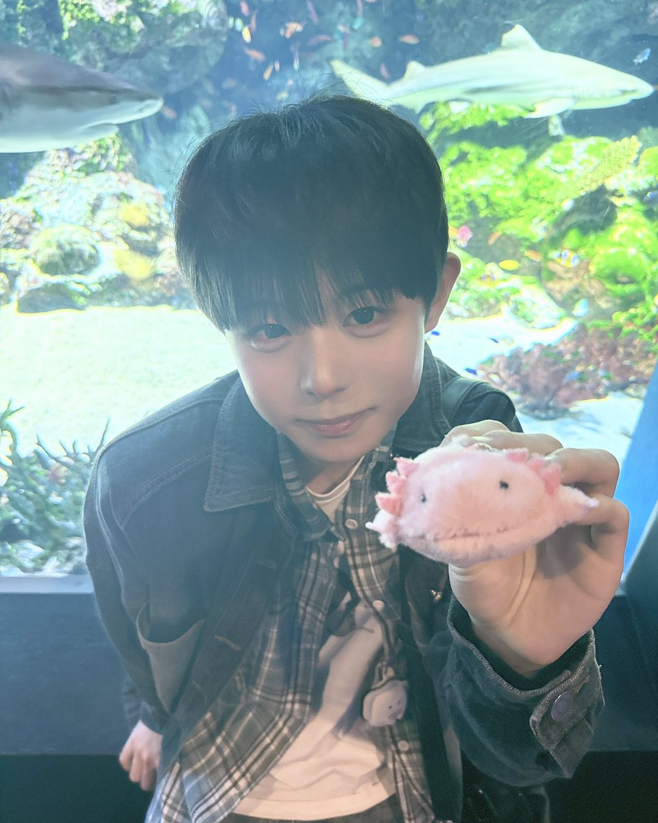 かんどん【FUN×FUN】 tweet media